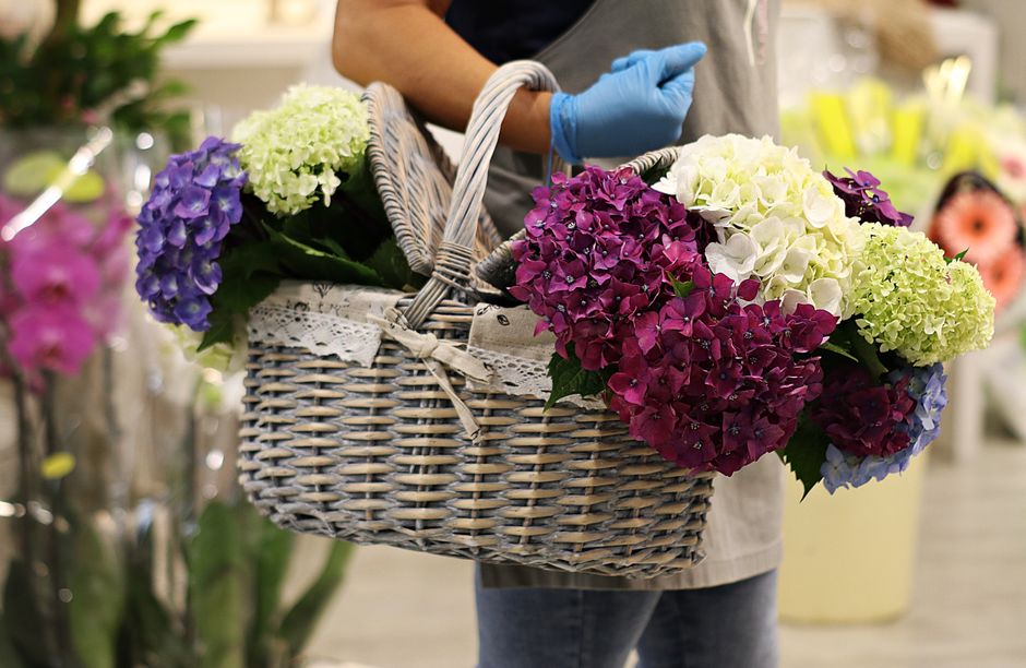 A person wearing a grey apron and blue gloves holds a wicker basket filled with fresh, vibrant hydrangea flowers in shades of purple, white, pink, and light green. The basket is decorated with a lace