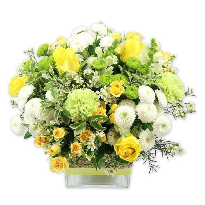 A lush, rounded bouquet in joyful shades of yellow, white, and green overflows from a low, rectangular clear glass vase, set against a clean white background that makes every stem and petal appear vivid and fresh. At the centre, large yellow roses open outwards in generous spirals, their velvety petals catching the light, while shorter stems of yellow spray roses cluster around them, adding layers of smaller, buttery blooms and graceful buds. White pompom chrysanthemums, densely petalled and almost spherical, create soft islands of texture among the roses, their clean whiteness echoing the brightness of the backdrop. Punctuating the design are compact lime green button chrysanthemums, miniature and globe-shaped, and fluffier, pale green ruffled flowers that look like special green carnations or chrysanthemums, offering a gentle gradation of green that feels cool and refreshing. Scattered lightly through the arrangement are tiny, star-like white filler flowers that suggest waxflower or gypsophila, their fine stems adding delicacy and space within the dome. The whole bouquet rests on a bed of leafy greens: broad, variegated foliage with cream-tipped edges, contrasting with deeper green leaves and finer, airy sprigs that create a natural frame. Wrapped around the middle of the vase is a rustic band of woven material-perhaps jute or raffia-over which a soft yellow-green ribbon is tied, echoing the bouquet's sunny and fresh palette. The composition feels both contemporary and comforting, like a piece you might place in a light-filled home near Hillingdon's parks, bringing a sense of warmth, health, and gentle celebration to a birthday brunch, a get-well gesture, or a simple "you're on my mind" delivery within the local area.